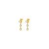 Talis Chains CZ Two Drop Earrings