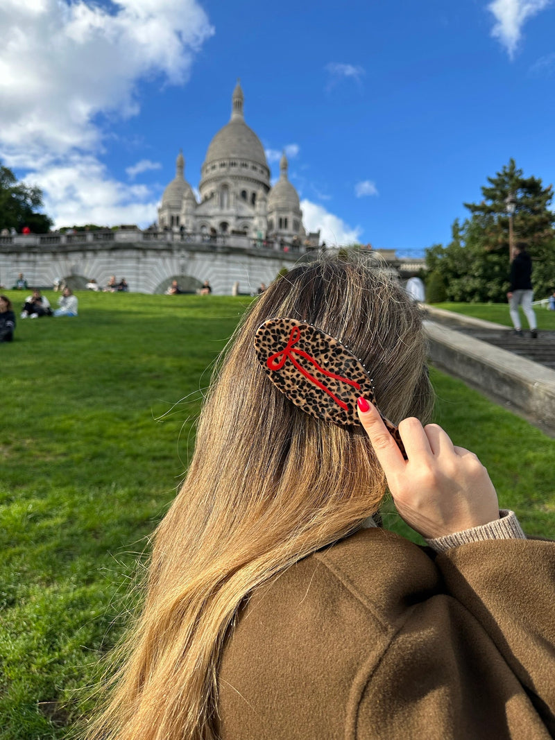 Solar Eclipse Leopard Bow Hair Brush