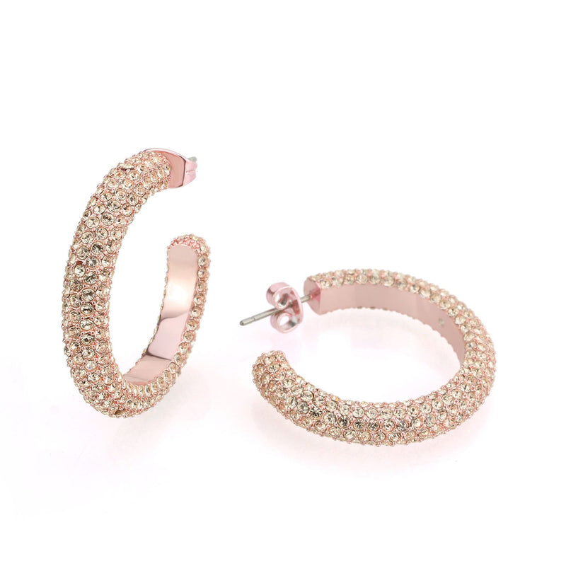 Covet Color Wheel Pave Earrings