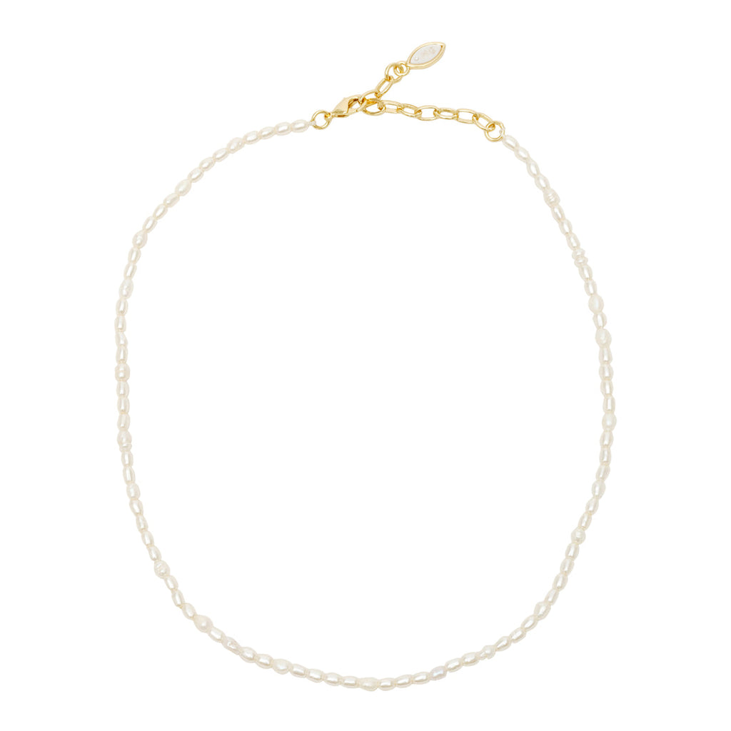 Georgie Crystal Necklace, Mignonne Gavigan