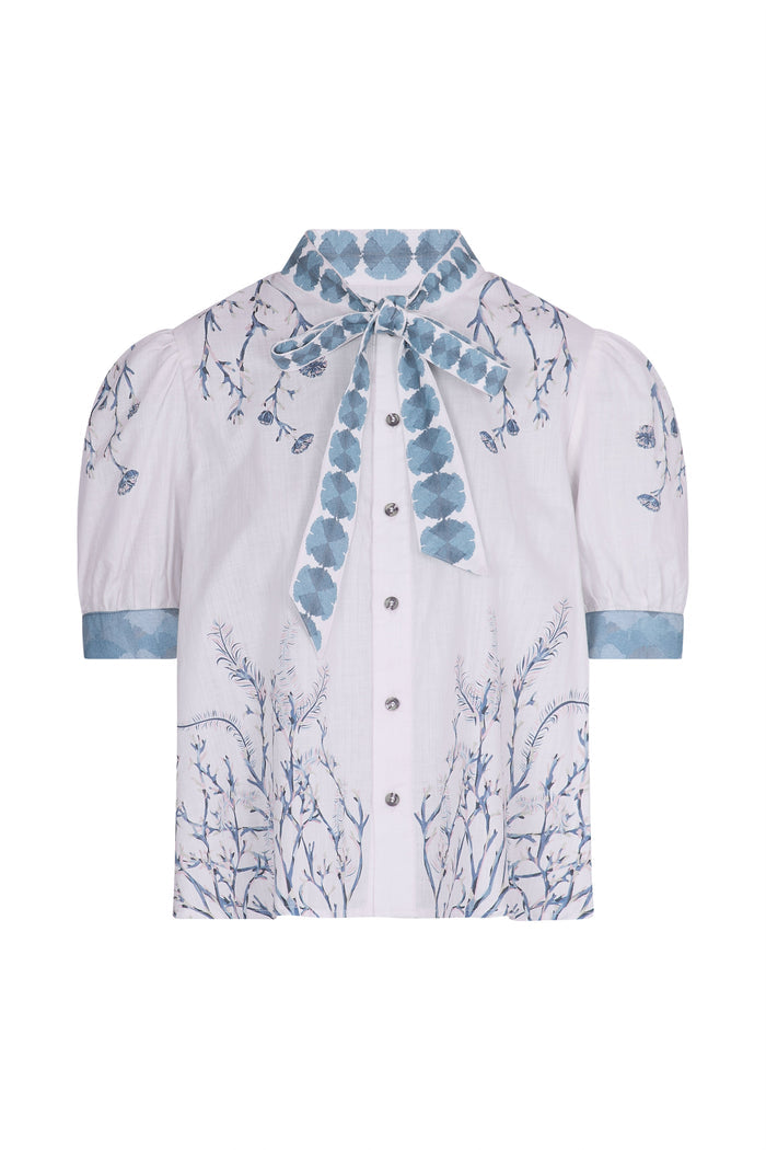 White/Blue